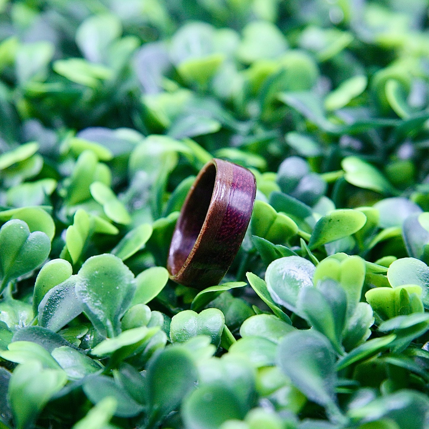 Purple Heart & Walnut Wood Ring