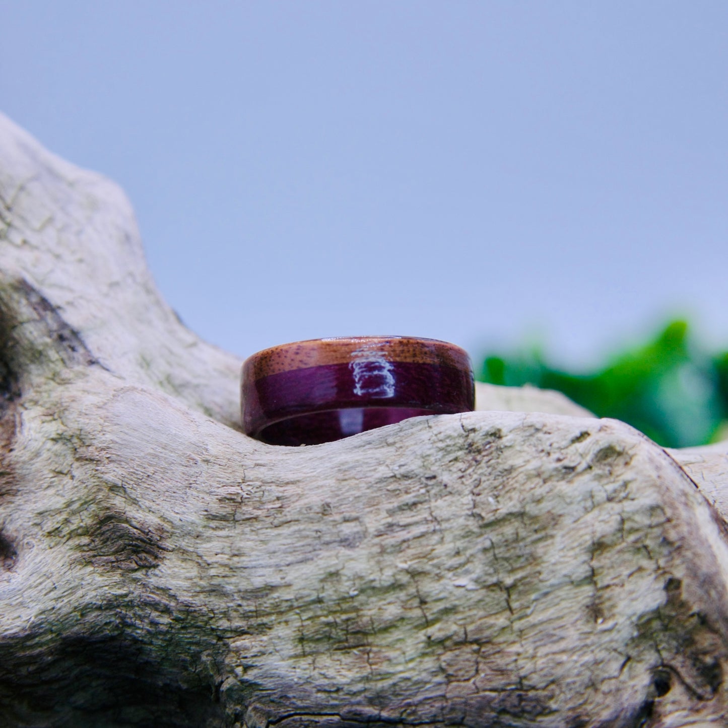 Purple Heart & Walnut Wood Ring