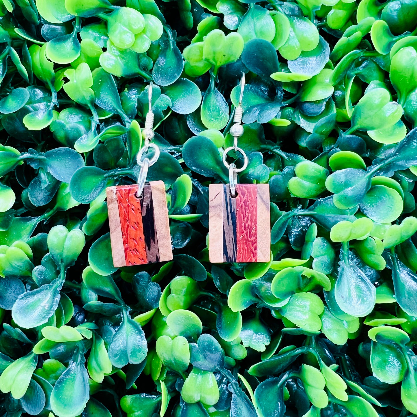 Olivewood, Padauk, & Wenge Wood Earrings