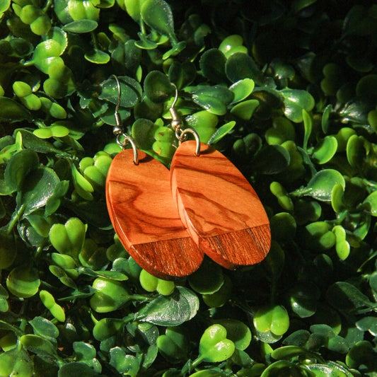 Olive Wood & 1890's Walnut Earrings