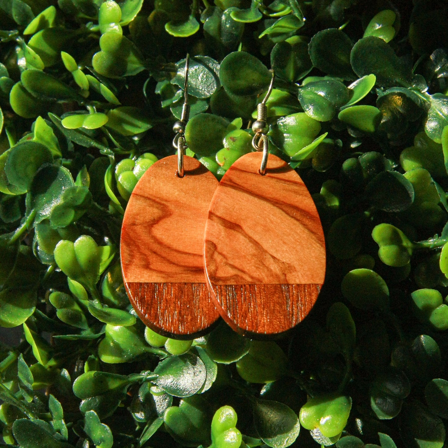 Olive Wood & 1890's Walnut Earrings