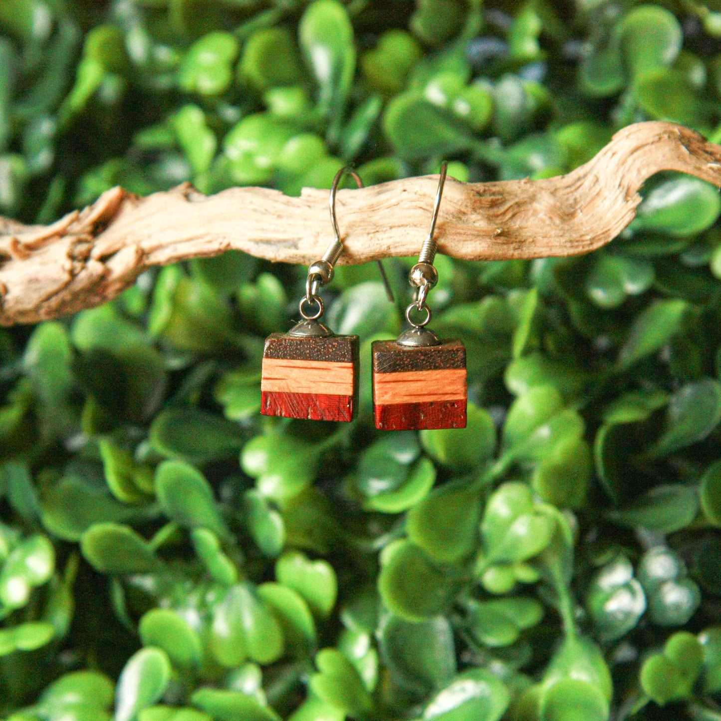 Walnut, Oak & Purple Heart Earrings