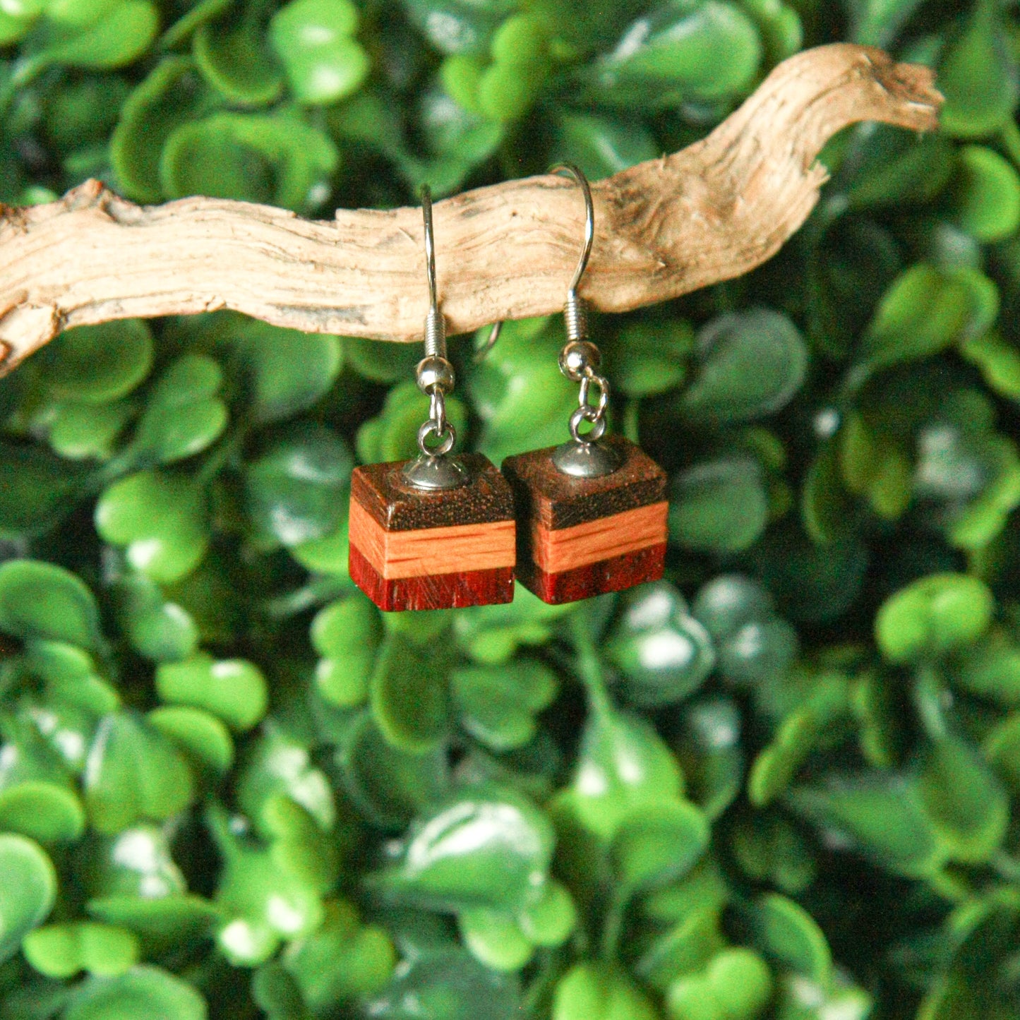 Walnut, Oak & Purple Heart Earrings