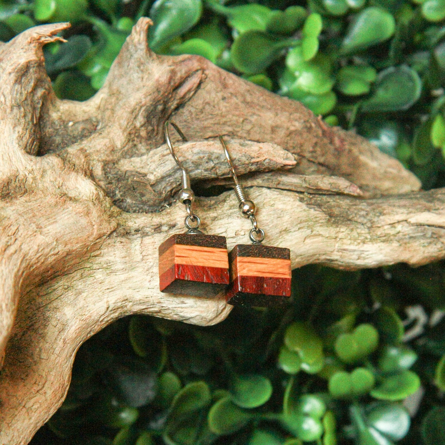 Walnut, Oak & Purple Heart Earrings