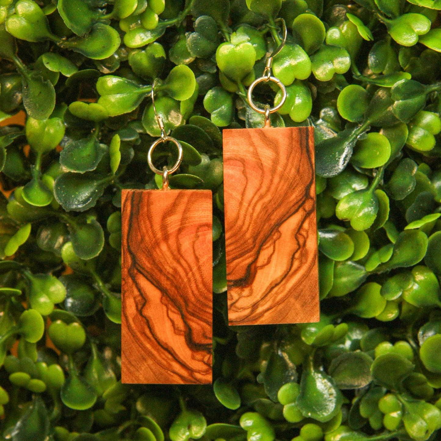Olive Wood Earrings