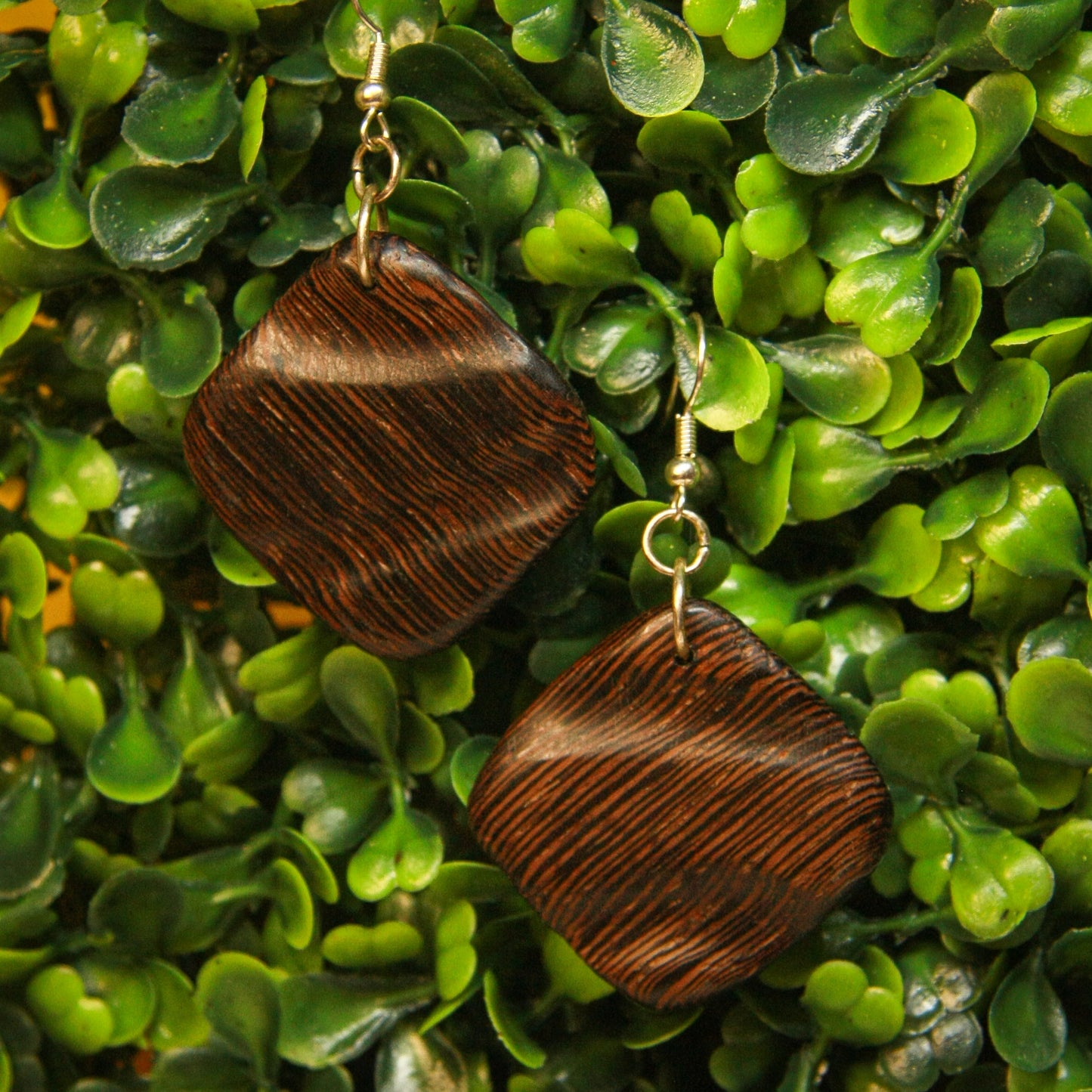 Wenge Wood Earrings