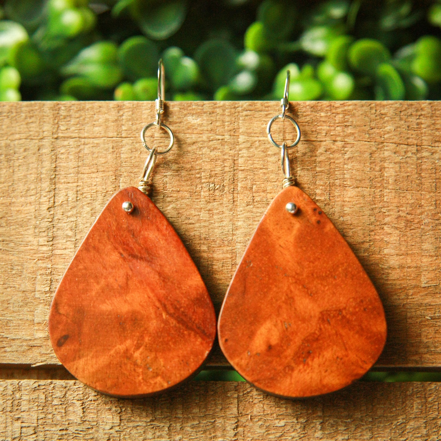 1890 Walnut & Birds Eye Maple Earrings
