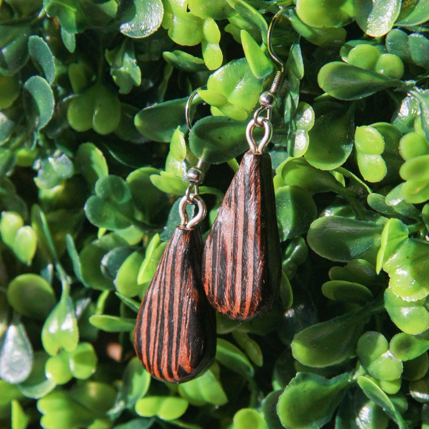 Wenge Wood Earrings
