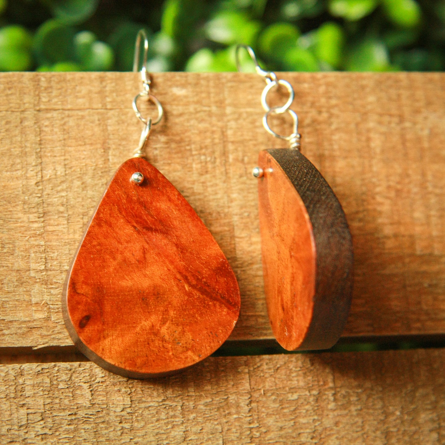 1890 Walnut & Birds Eye Maple Earrings