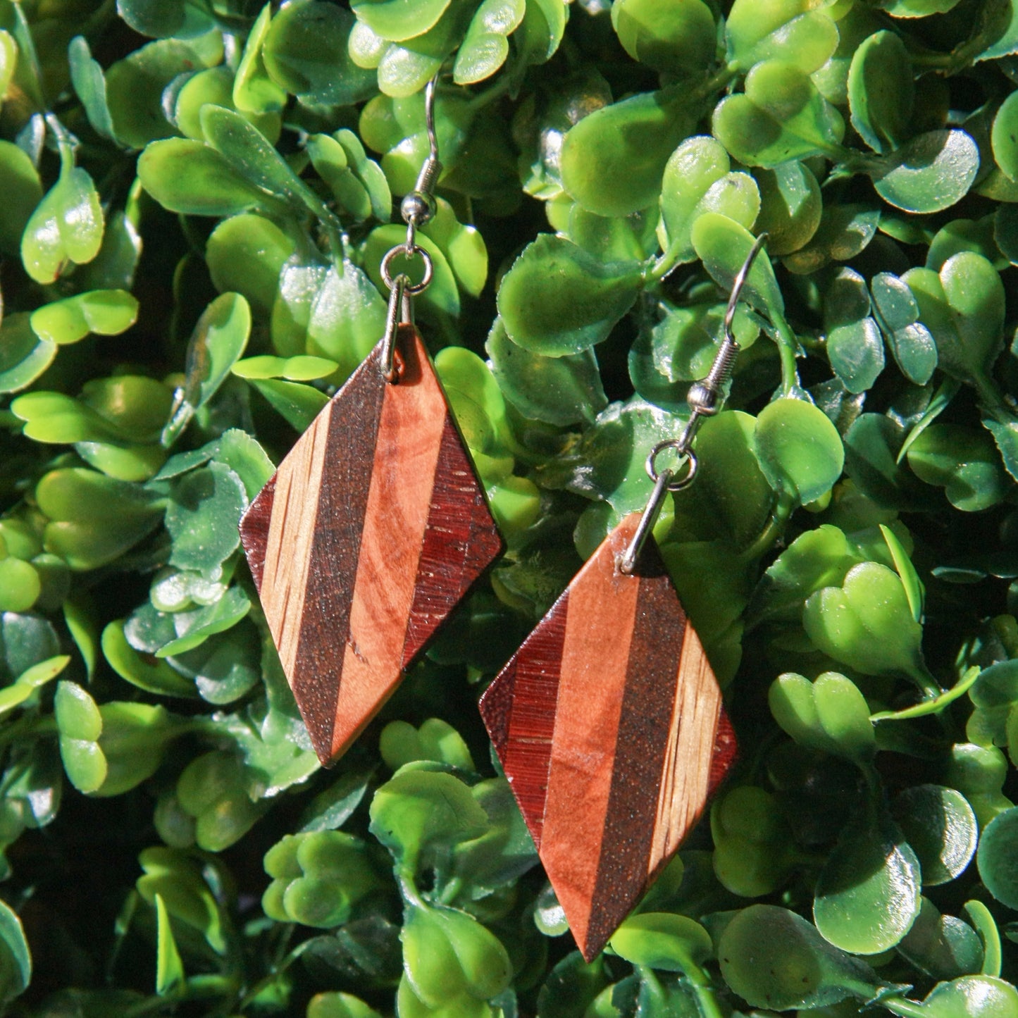 Hickory, Purple Heart, Ebony, Olive Wood & Padauk Earrings