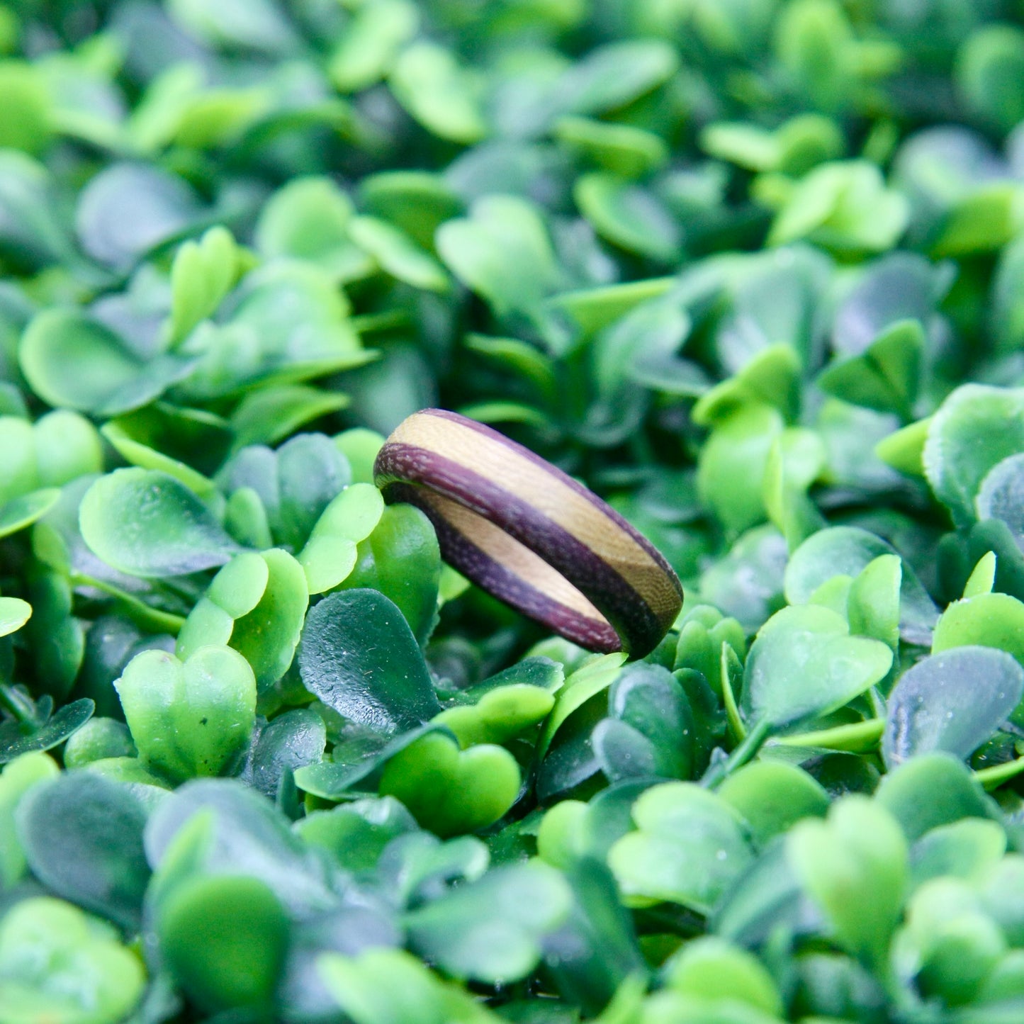 Purple Heart & Hickory Wood Ring Size 8.5
