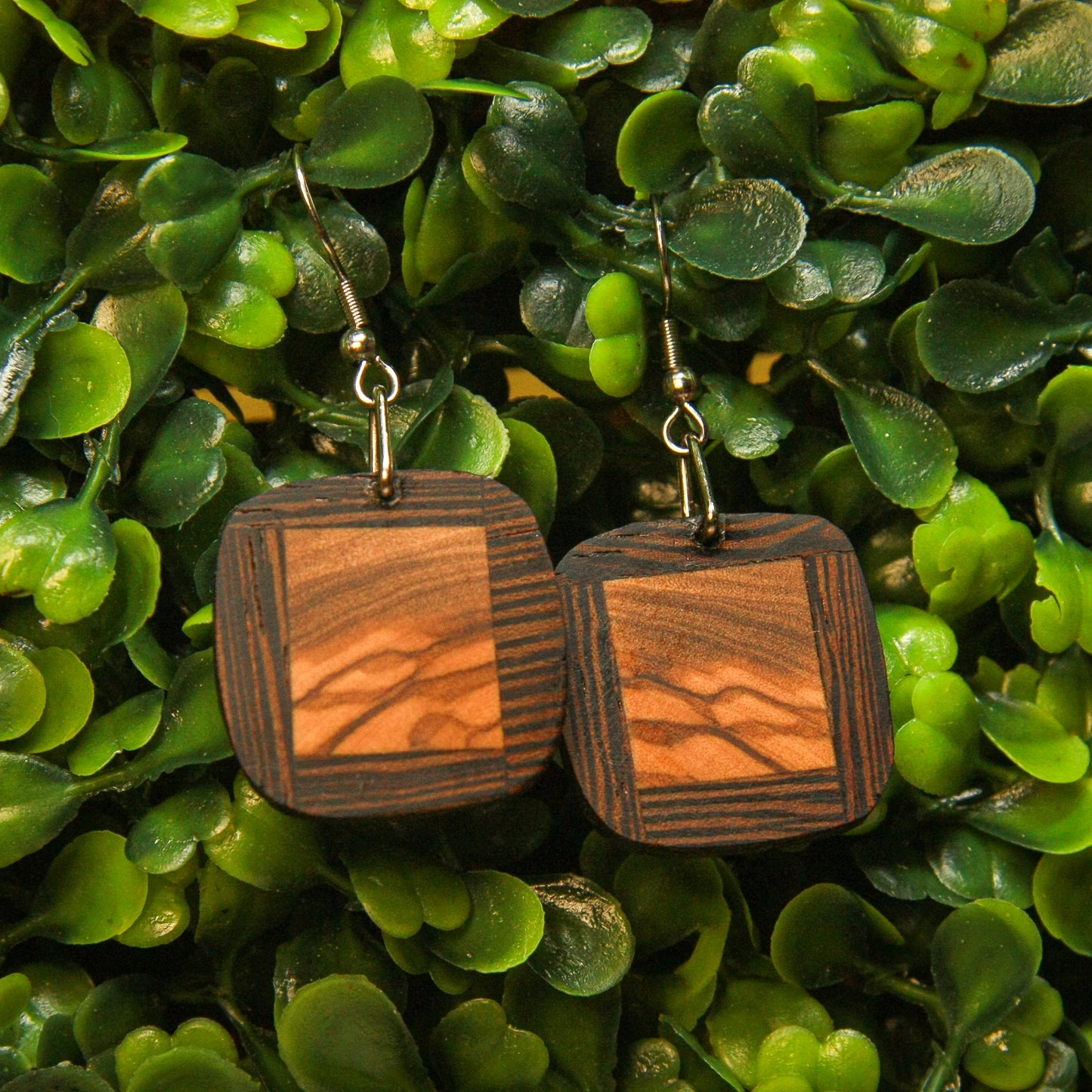Wenge wood & Olive wood Earrings