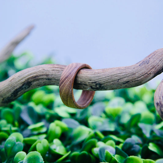 Olivewood Wood Ring