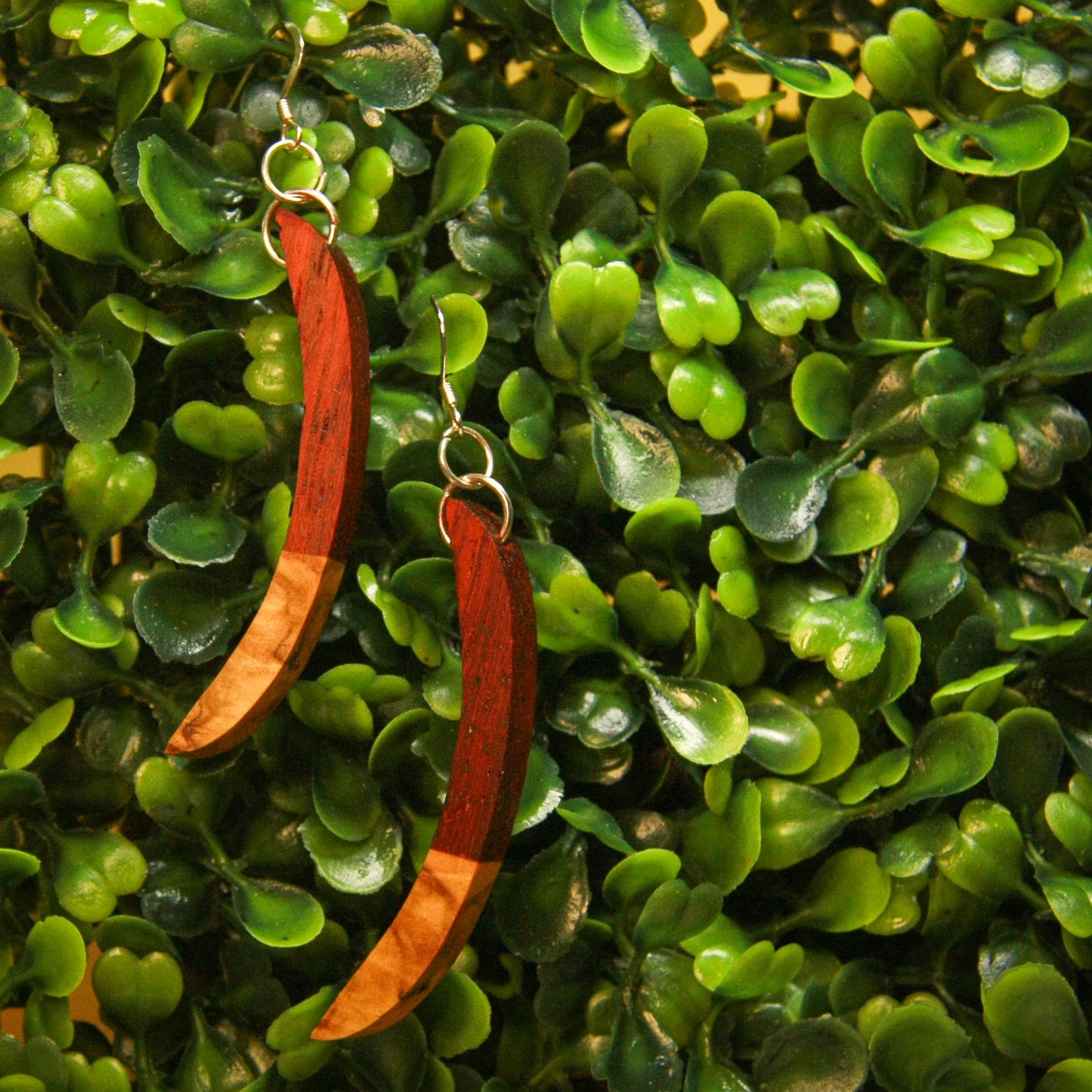 Padauk & Olivewood Earrings