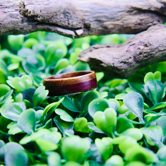 Purple Heart & Walnut Wood Ring