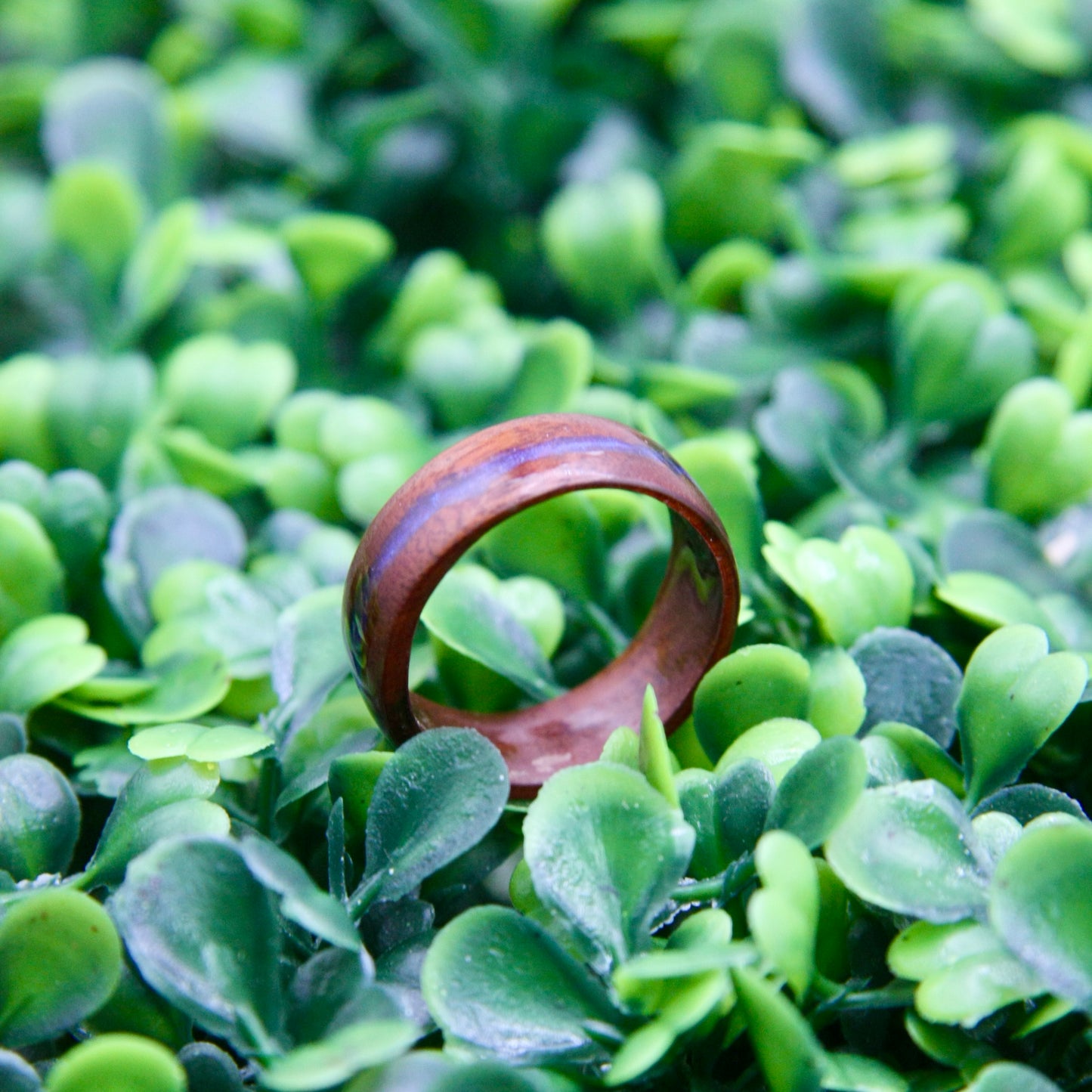 Hickory w/Lapis Wood Ring