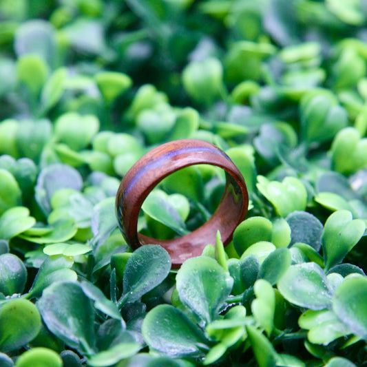 Hickory w/Lapis Wood Ring