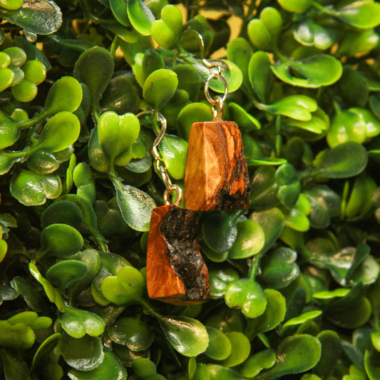 Olive Wood Burl Earrings