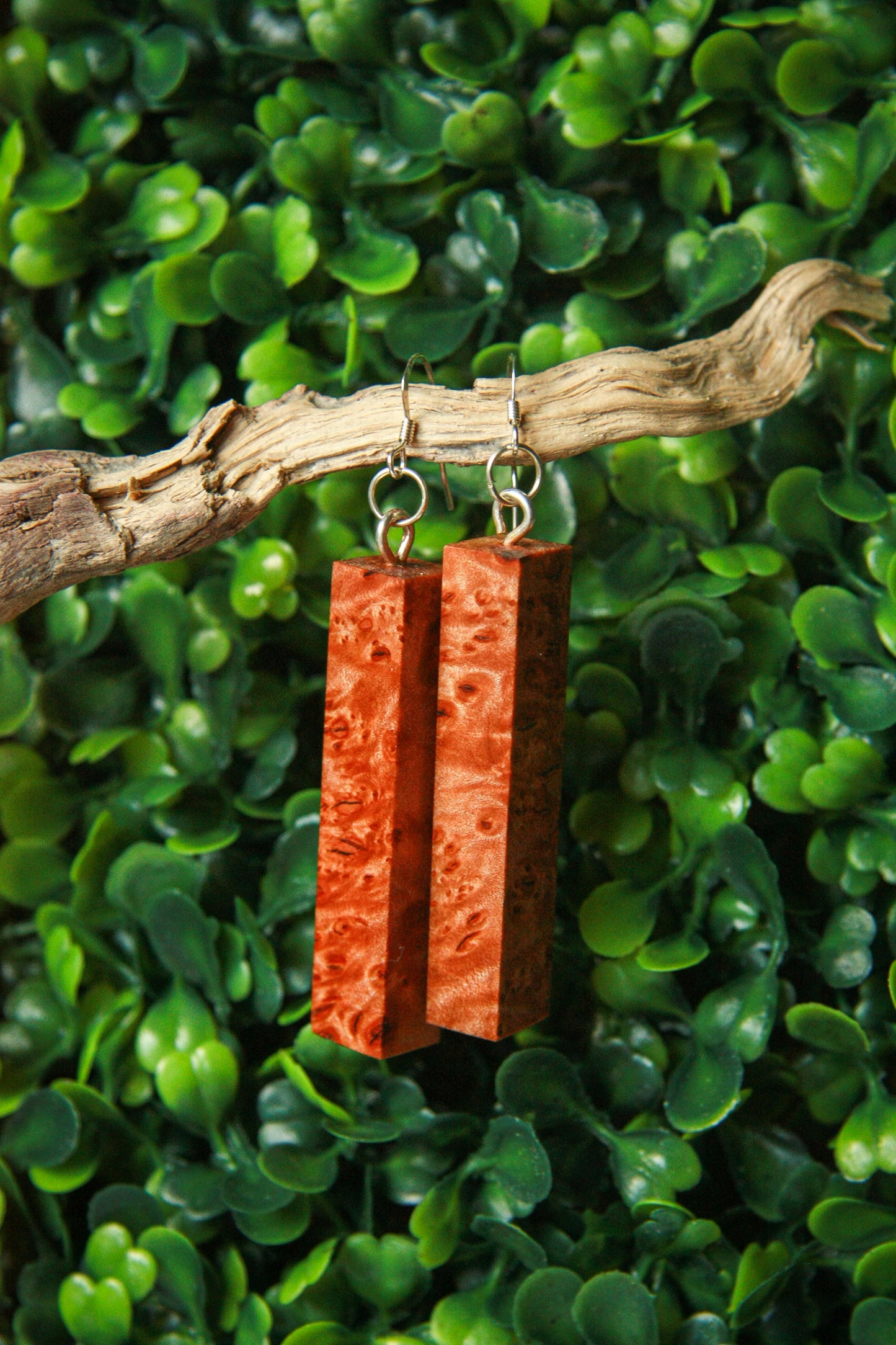 Maple (Burl) Earrings