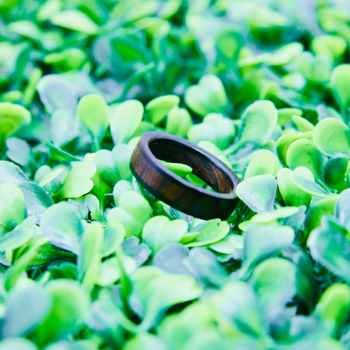 Ebony & Ironwood Wood Ring Size 8.5