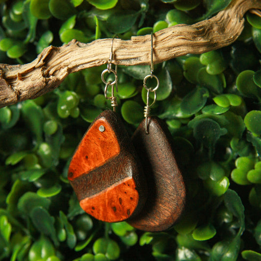 1890 Walnut & Birds Eye Maple Earrings