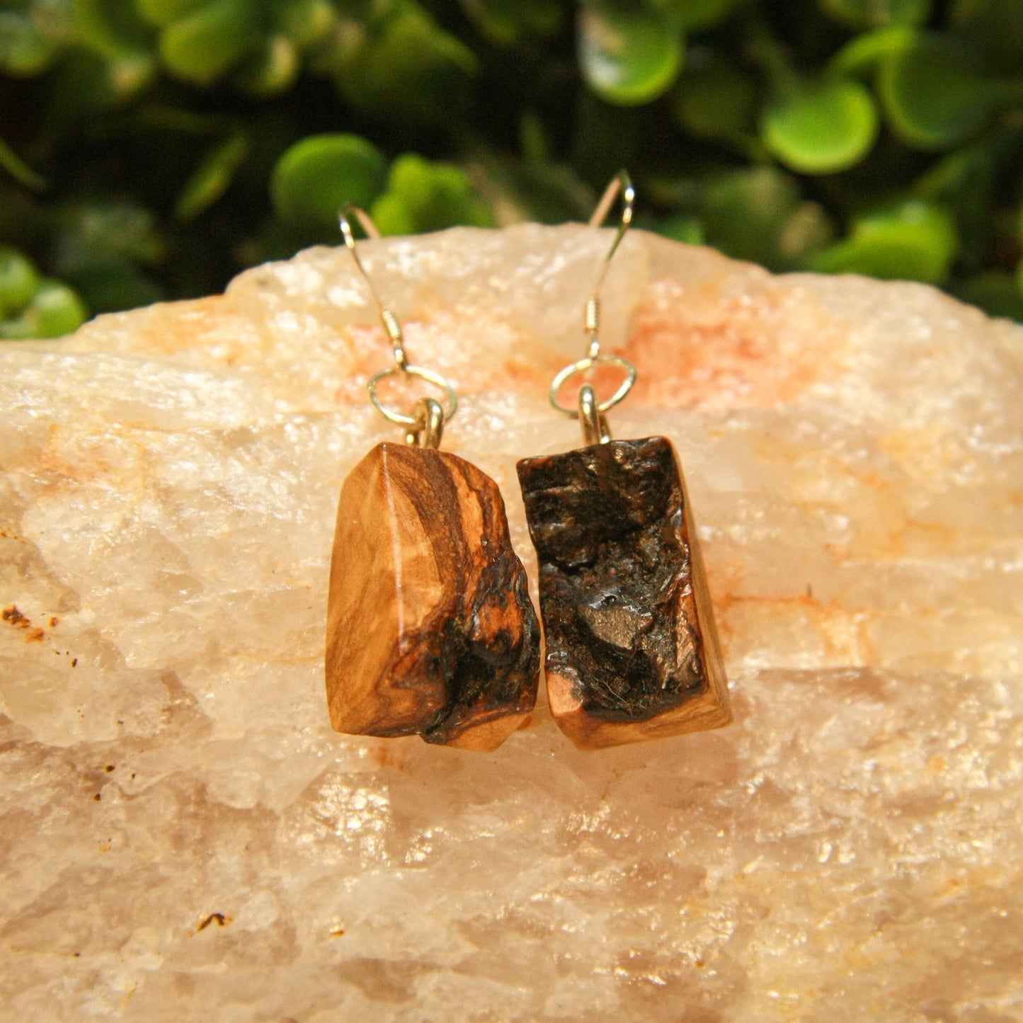 Olive Wood Burl Earrings