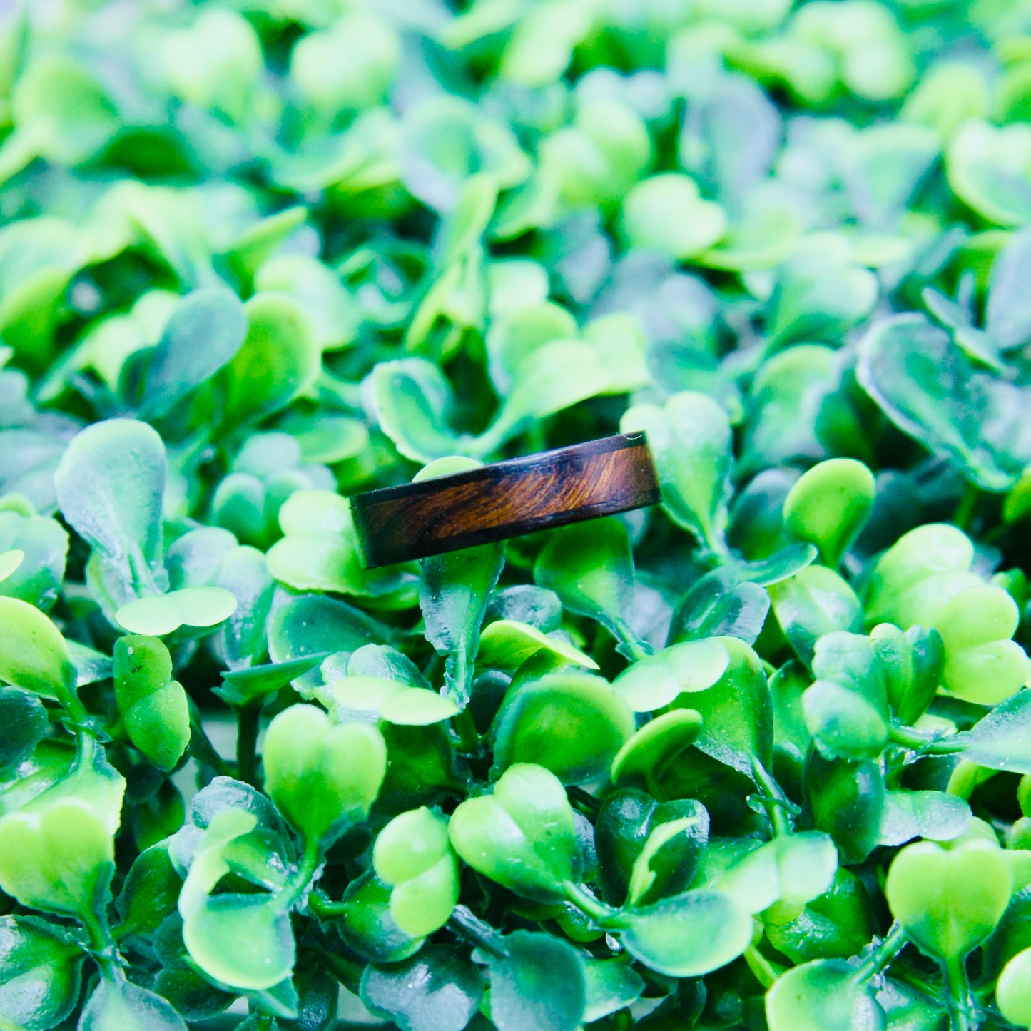 Ebony & Ironwood Wood Ring Size 8.5