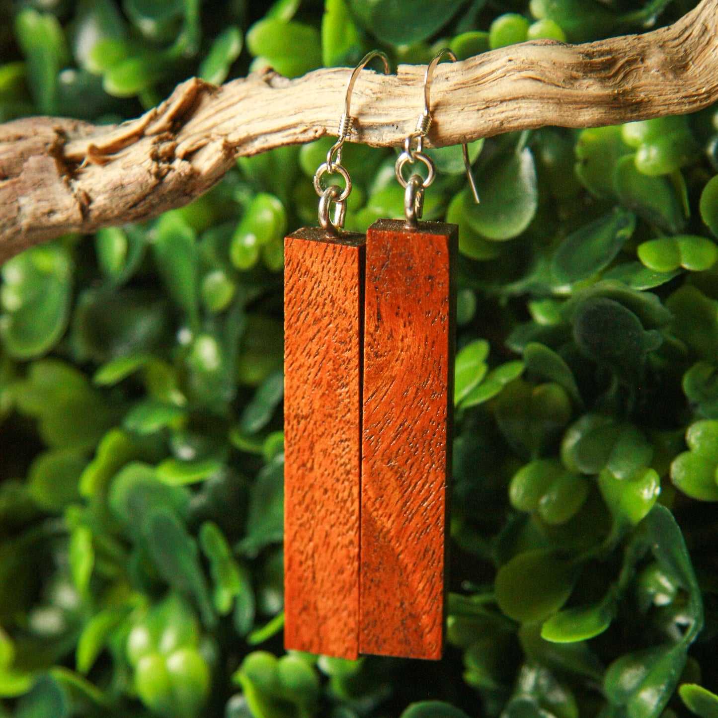 1890 Walnut & Birds Eye Maple Earrings