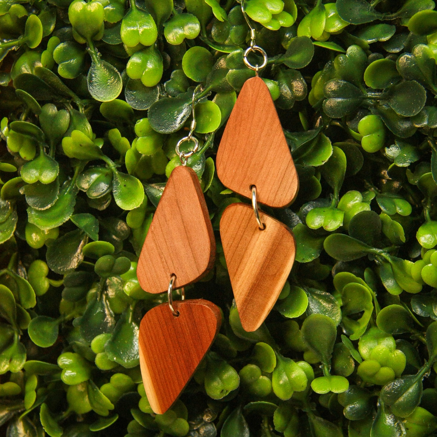 Cedar wood Earrings