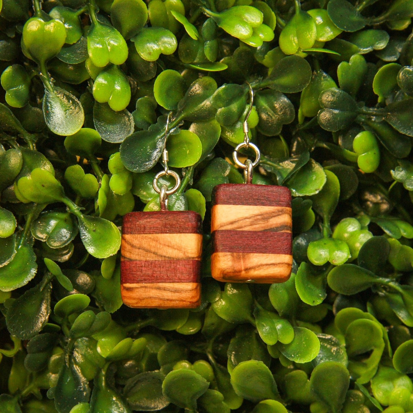Purple heart & Olivewood Striped Earrings