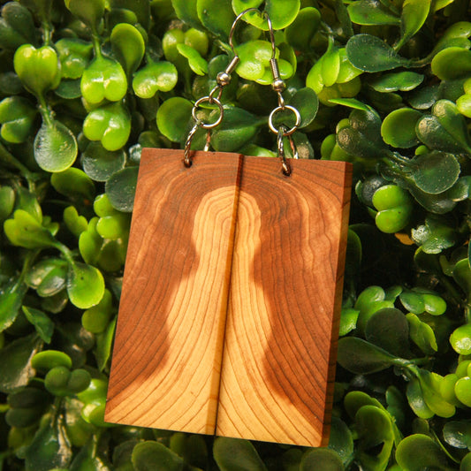 Cedar Wood Earrings
