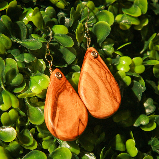 Olivewood Tear Drop Wood Earrings