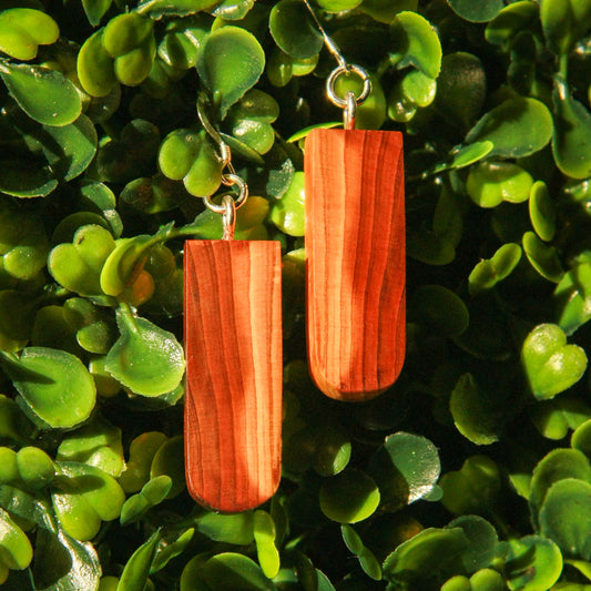 Cedar Wood Earrings