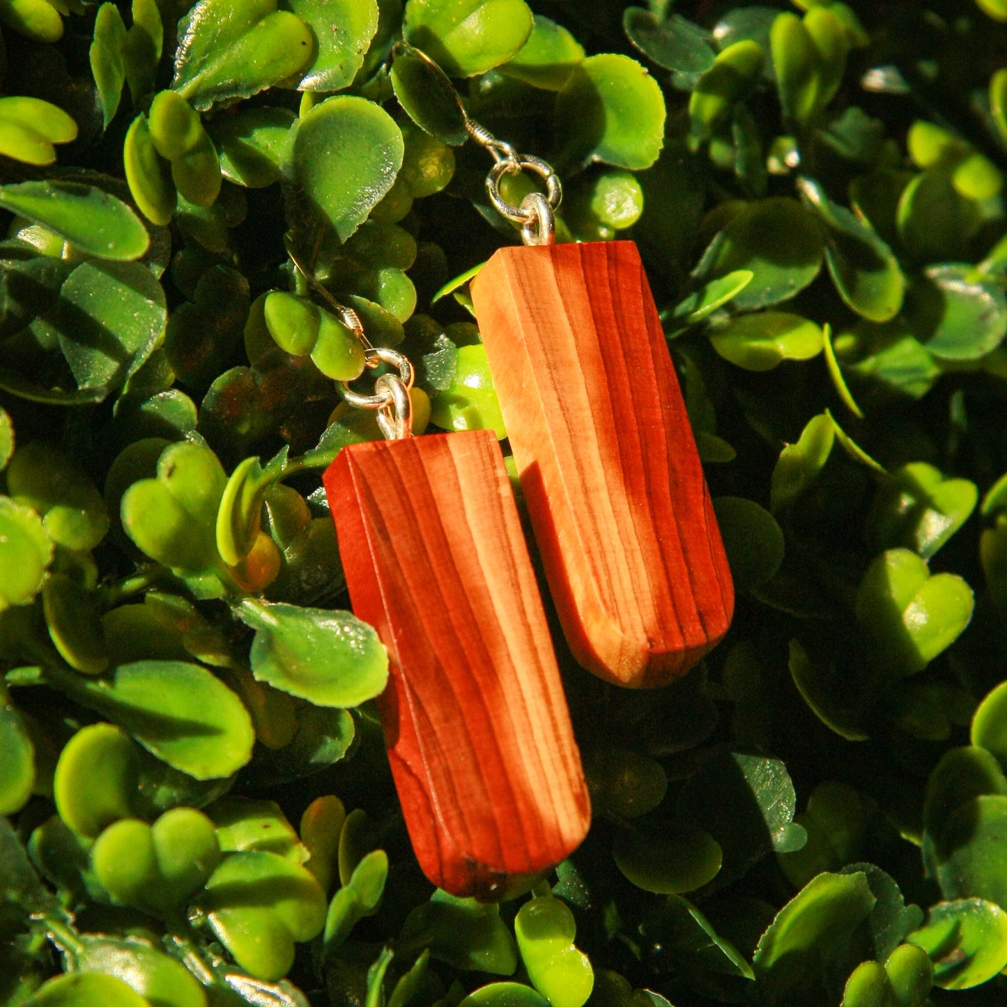 Cedar Wood Earrings