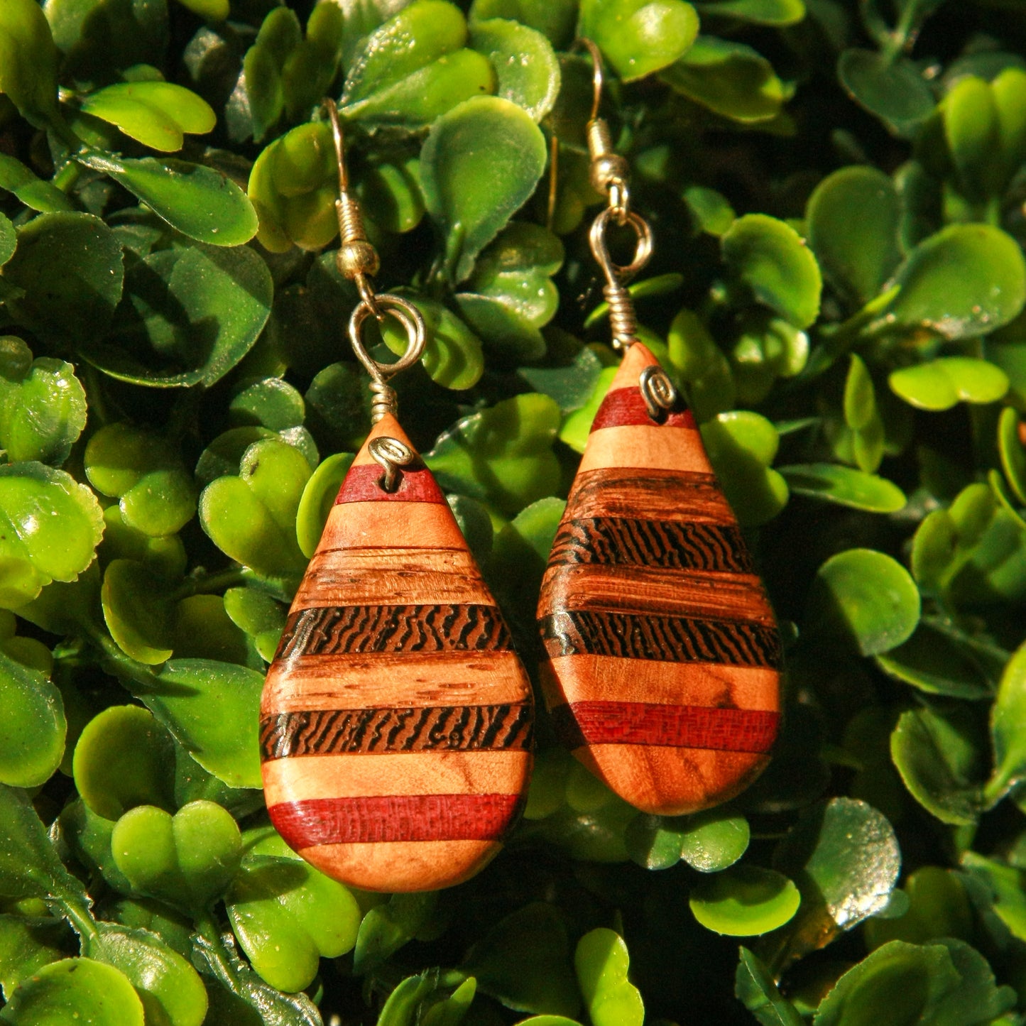 Olivewood, Purple Heart, 1890 Walnut and Wenge Wood Earrings