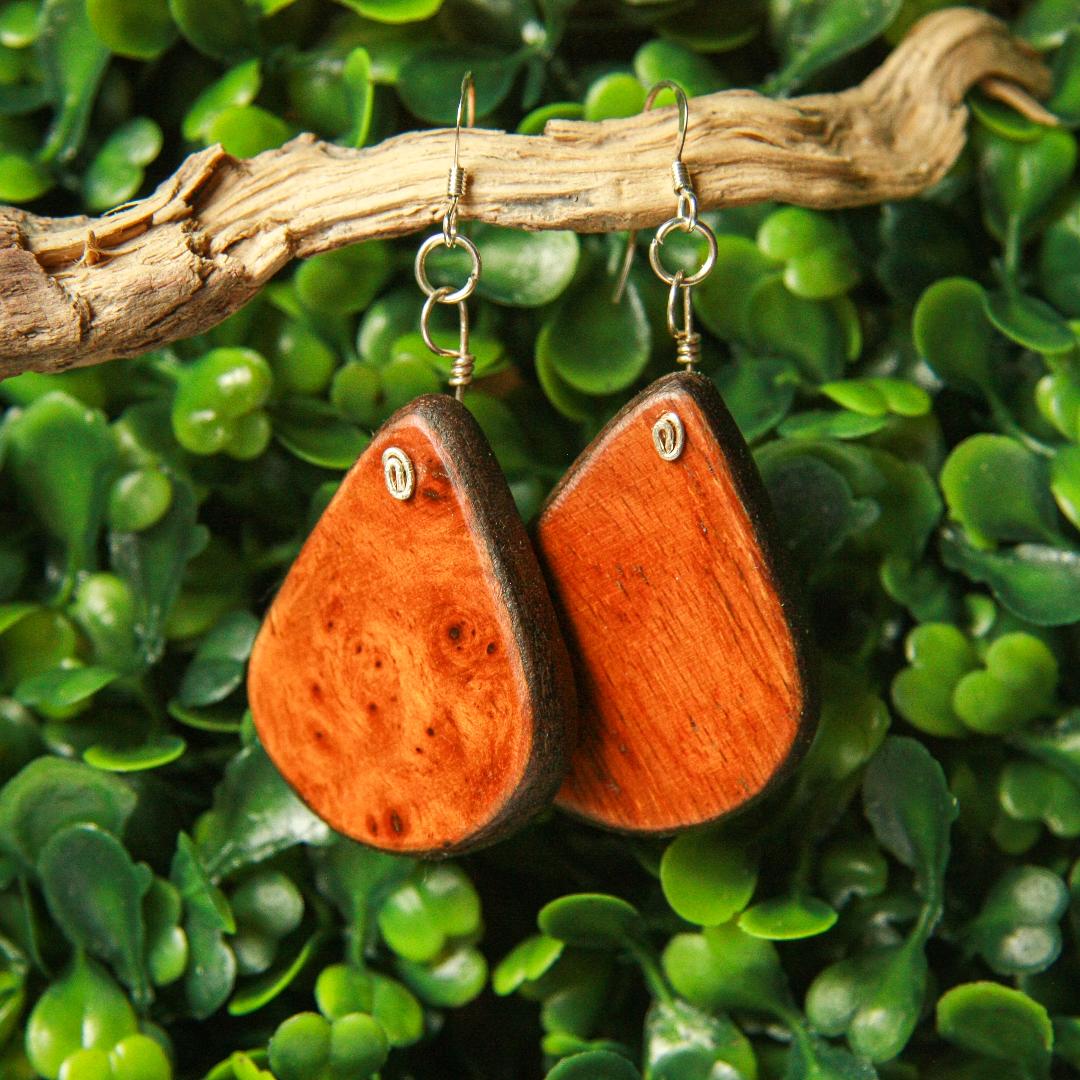 1890 Walnut & Birds Eye Maple Earrings