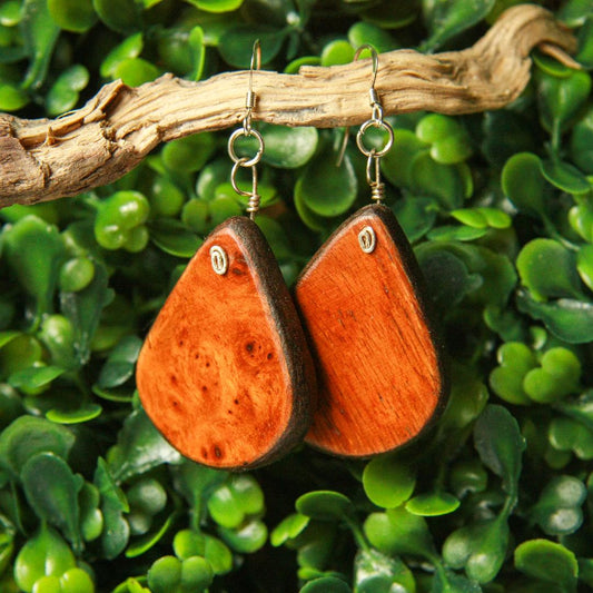 1890 Walnut & Birds Eye Maple Earrings